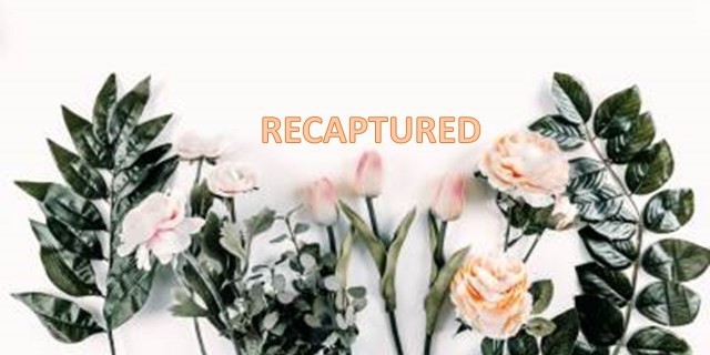Poshmark banner for @recaptured